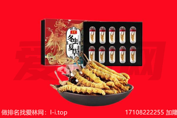 韶关市翁源回收虫草.jpg
